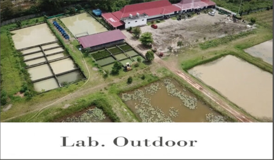 Lab Gallery 4