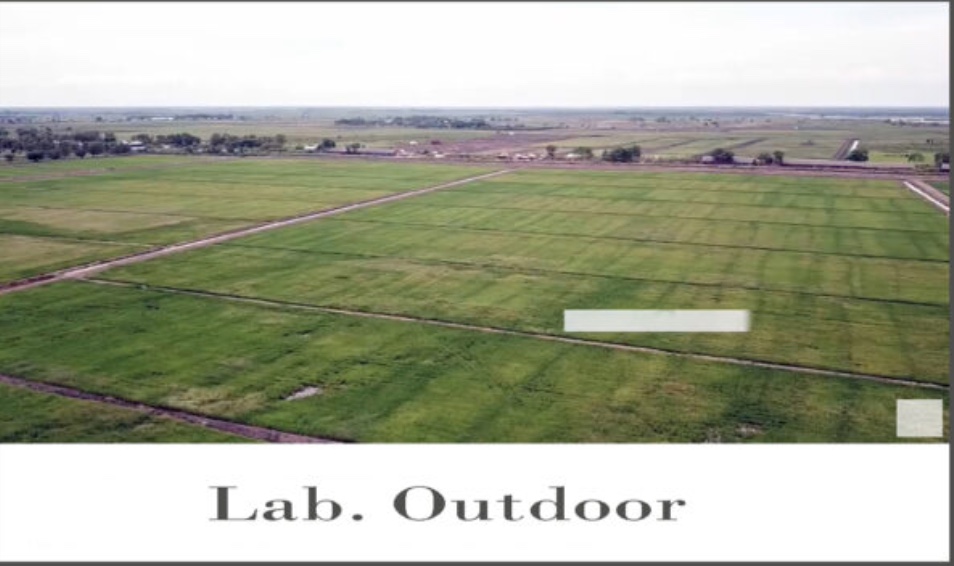 Lab Gallery 6
