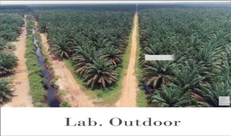 Lab Gallery 7
